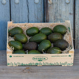 Hass-Avocado