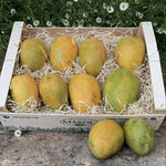 Propiedades del Mango Ataúlfo