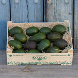 Beneficios del aguacate