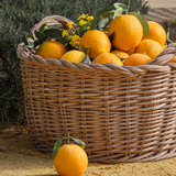 Tisch orange