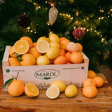 6 Kg Naranja + 3 Kg Mandarina + 1 k Limón