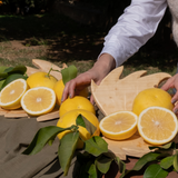 Weiße Grapefruit