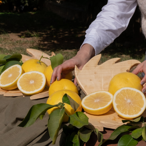 
                  
                    Pomelo Blanco o Amarillo
                  
                