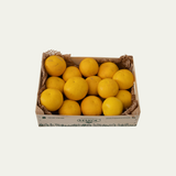 Pomelo Blanco o Amarillo