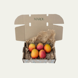Mangos madurados en el árbol