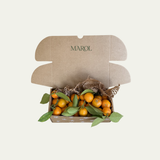 Calamondín