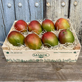Mangos madurados en el árbol