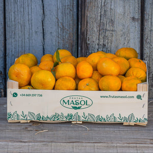 
                  
                    Mandarinen
                  
                