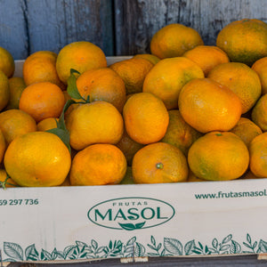 
                  
                    Mandarinen
                  
                
